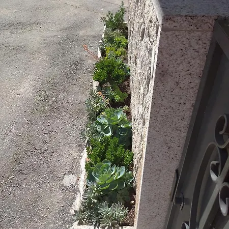 Casa Morgado *